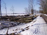 kcen lesa u eskho Mezi (rok 2003)