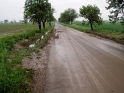 silnice od Dobrušky (rok 2005)