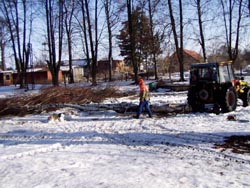 vykácení starých stromů v areálu (rok 2010)